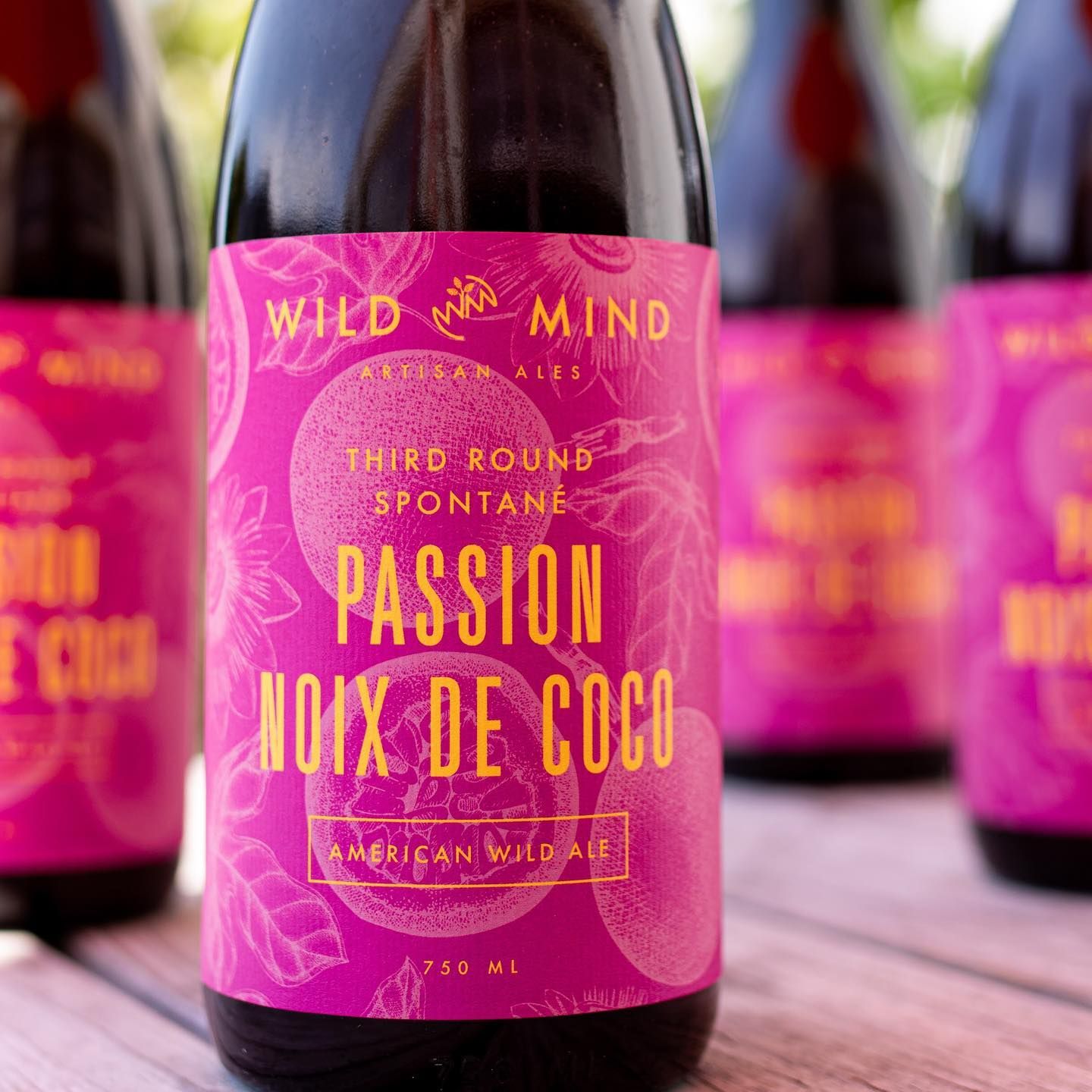 alt="Wild Mind Passion"